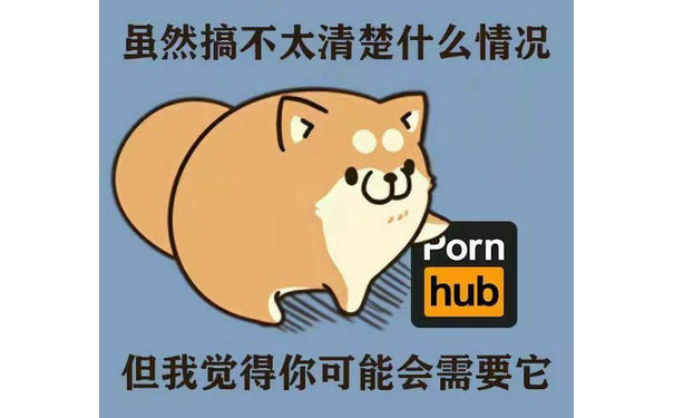 虽然搞不清楚什么情况，但我觉得你可能需要它-pornhub