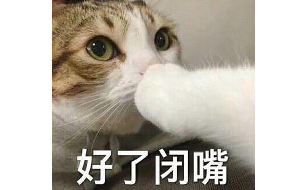 好了闭嘴