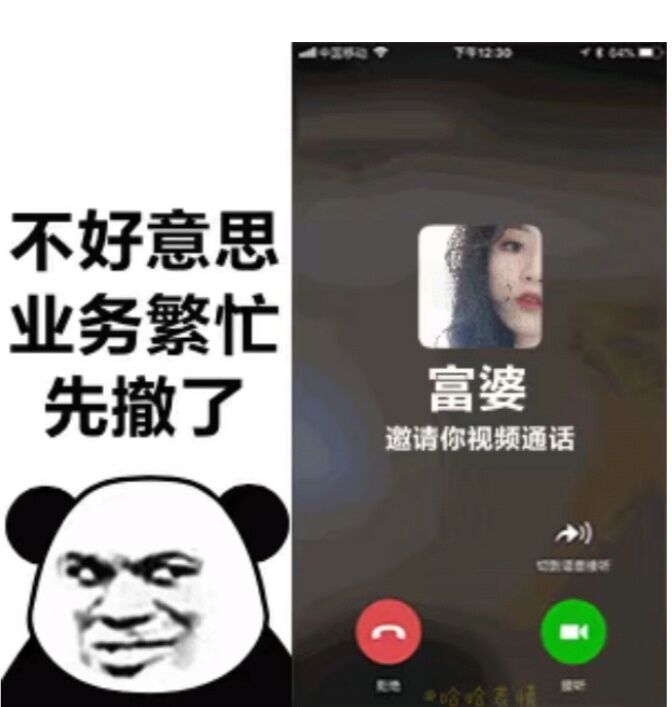 熊猫头（与富婆微信语音通话中）：业务繁忙，先撤了