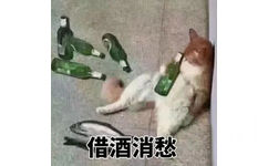 借酒消愁