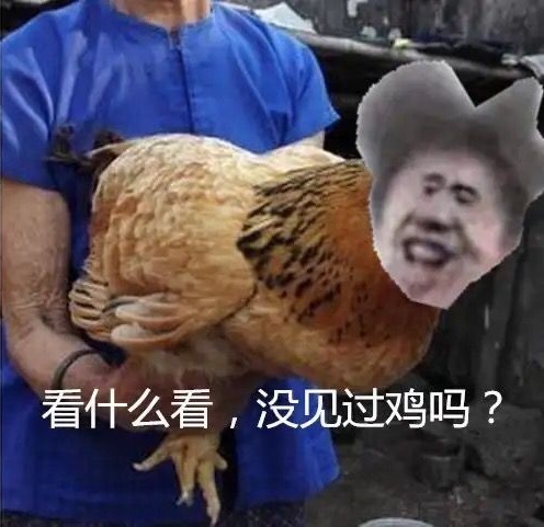 看什么看，没见过鸡你太美啊