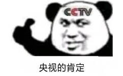 cctv熊猫头点赞?：央视的肯定