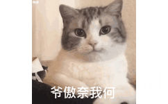 嘴角会扬起的可爱猫咪：爷傲奈我何