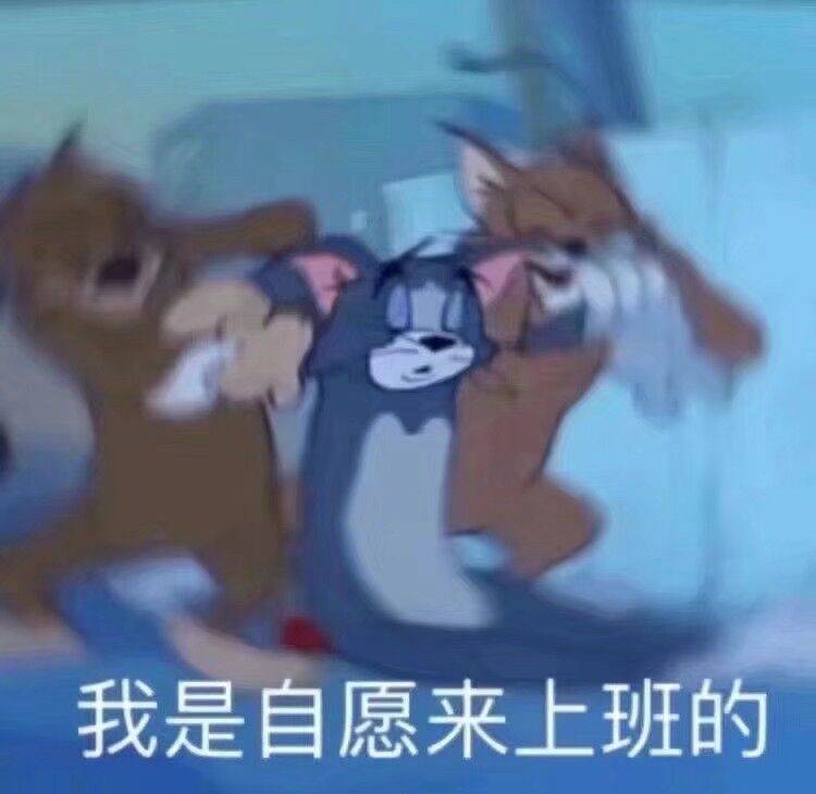 还在睡梦中的汤姆猫：我是自愿上班的