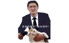 罗翔拿着枪指着猫：你他妈犯法了你知道吗