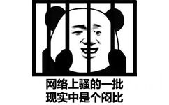 坐牢熊猫头：网络上骚的一批