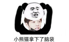 熊猫头肖战脸表情包-小熊猫拿下了脑袋