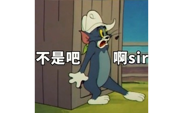 汤姆猫-猫和老鼠：不是吧阿sir