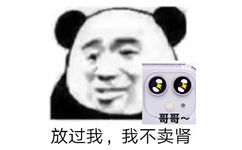 熊猫头：放过我，我不卖肾（iphone）