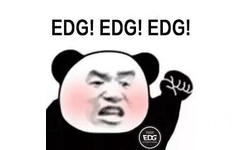 熊猫头挥着拳头：EDG