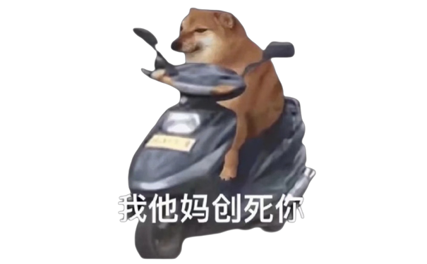 柴犬小狗骑着电动车：我他妈创（撞）死你