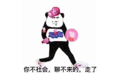 熊猫头：你不社会，聊不来的，走了