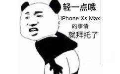 熊猫头：轻一点哦 iPhone Xs Max的事情就拜托了