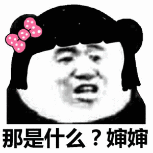 女性熊猫头：那是什么？婶婶