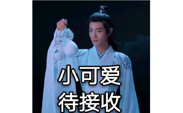 陈情令魔道祖师肖战魏无羡表情包-20