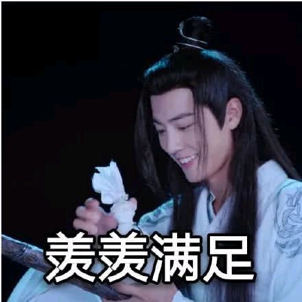 陈情令魔道祖师肖战魏无羡表情包-41