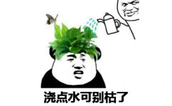熊猫头头上长绿色植物：浇点水可别枯了