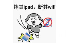 摔其ipad，断其wifi