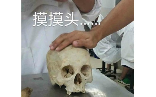 医学生搞笑表情包-1 