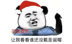 熊猫头过圣诞节表情包-24