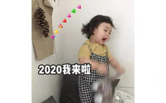 2020跨年祝福表情包-35