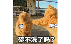 橘猫过年在家表情包8