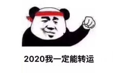 熊猫头-2020我一定能转运