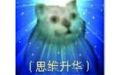 憨憨猫表情包-7 