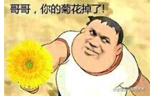 胖虎捡到一朵菊花：哥哥，你的菊花掉了！