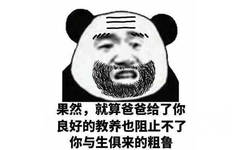 满脸胡子的熊猫头：果然，就算爸爸给了你良好的教养也阻止不了你与生俱来的粗鲁