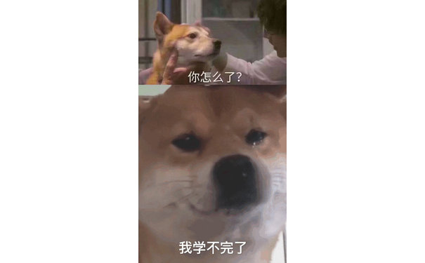 柴犬哭泣表情我学不完了