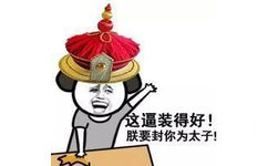 这逼装的好！朕要封你为太子！